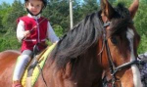 В Уфе планируют разработать правила катания на лошадях