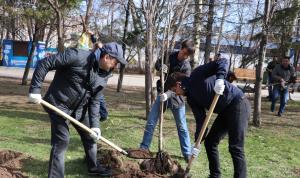 Депутаты Горсовета Уфы посадили липы и рябины в парке Якутова
