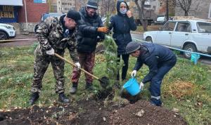 Тимур Гадеев помог с благоустройством двора